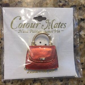 Colour Mates Hand painted Enamel Vintage Brooch